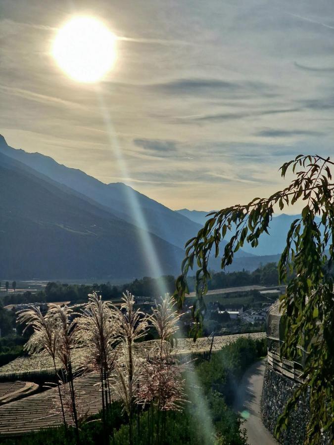 Villa Langstein Bio Urlaub & Genuss à Coldrano Extérieur photo